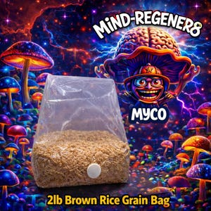 5- 2lb Brown Rice Grain spawn for mycology.