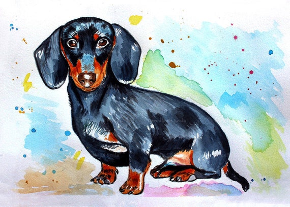 dachshund watercolor painting