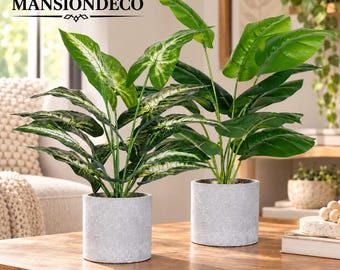 16 Inch Artificial Plants Set of Two, Faux Greenery for Desk Shelf Bathroom Bedroom Living Room Office, Modern Home Accent Botanical Decor