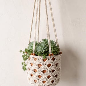May include: A cream-colored, macrame plant hanger with a terracotta pot filled with green succulents and small plants. The hanger is suspended by four cream-colored ropes, with wooden beads at the top of the pot.