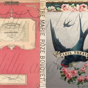 Digital Download Junk Journal Roses Romantic bird roses Paris  Decoupage Collage Sheet For Junk  Cover Pages