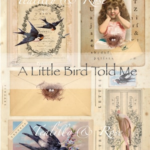 Puede incluir: Un collage vintage con temática de pájaros. El collage incluye imágenes de pájaros, nidos y notas musicales. El texto "A Little Bird Told Me" aparece en el centro del collage. El texto "Tealilly & Rose" aparece en las esquinas superior izquierda e inferior derecha del collage.