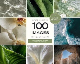 Nature AI Stock Photos | Botanical, Lifestyle Images (Digital Download)