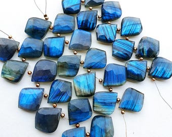 Op de afbeelding: Een verzameling gefacetteerde, vierkante labradoriet kralen in blauwe en grijze tinten, geregen met goudkleurige metalen kralen. De gepolijste kralen hebben een iriserend oppervlak, gerangschikt op een witte achtergrond.