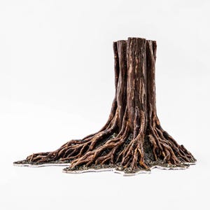 Può includere: Un ceppo d'albero marrone dettagliato con radici esposte. La corteccia strutturata e l'intricato sistema radicale sono visibili su sfondo bianco. Il ceppo è un oggetto decorativo.