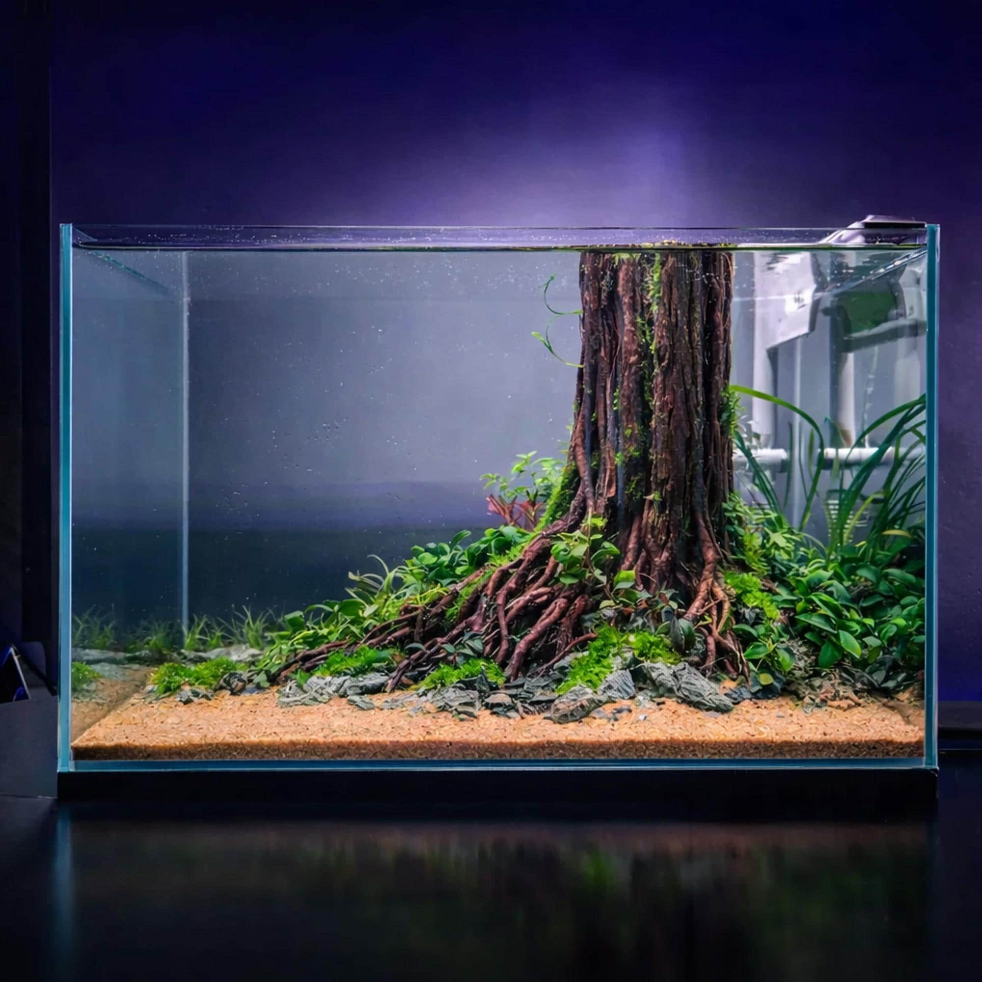 Driftwood Tree Stump Aquarium Wood Aquascape Fish Tank Decoration - Etsy