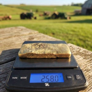 258g RESTGOLDBARREN – High-Density Guss aus PC und Stiften zur Einbettung