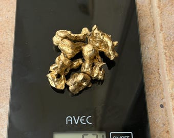 Pepite d'oro di scarto da 65 g – Fusione ad alta densità da PC e pin per investimento
