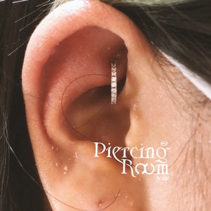 RoseGold plattiert schmaler CZ Clicker Hoop Ohrring, Augenhöhlen Piercing, Knorpel Ohrring, Lobe Piercing, Hoop Ohrring, Helix Hoop (1 Stück)