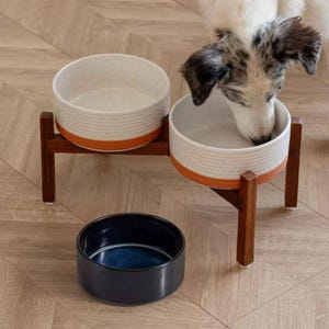 amazon cat litter box self-cleaning Stainless Steel Self-Cleaning Cat Litter Box & Stainless Steel Cat Water Fountain Pro