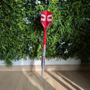 Op de afbeelding: Een rode en zilveren dartpijl met een rode en witte flight met het woord "TARGET". De dartpijl staat tegen een achtergrond van groen gebladerte en een houten vloer.