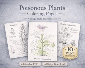 Ausmalbilder giftiger Pflanzen | Entspannendes botanisches Malbuch | Vintage-PDF zum Ausdrucken | Von der Natur inspirierte Kunst