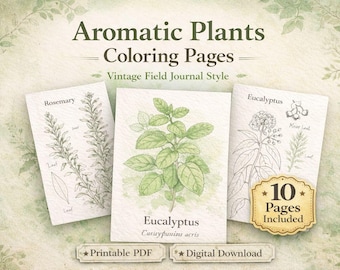 Botanische Malvorlagen (PDF zum Ausdrucken) – Aromatische Pflanzen | Vintage-Feldtagebuch-Stil | Malbuch für Erwachsene und Kinder | Sofort-Download
