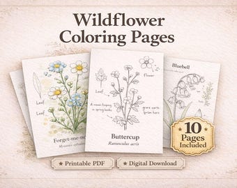 Malvorlagen für Wildblumen (PDF zum Ausdrucken), Botanisches Malbuch, Vintage-Feldtagebuch-Stil, Malvorlagen für Erwachsene und Kinder, Sofort-Download