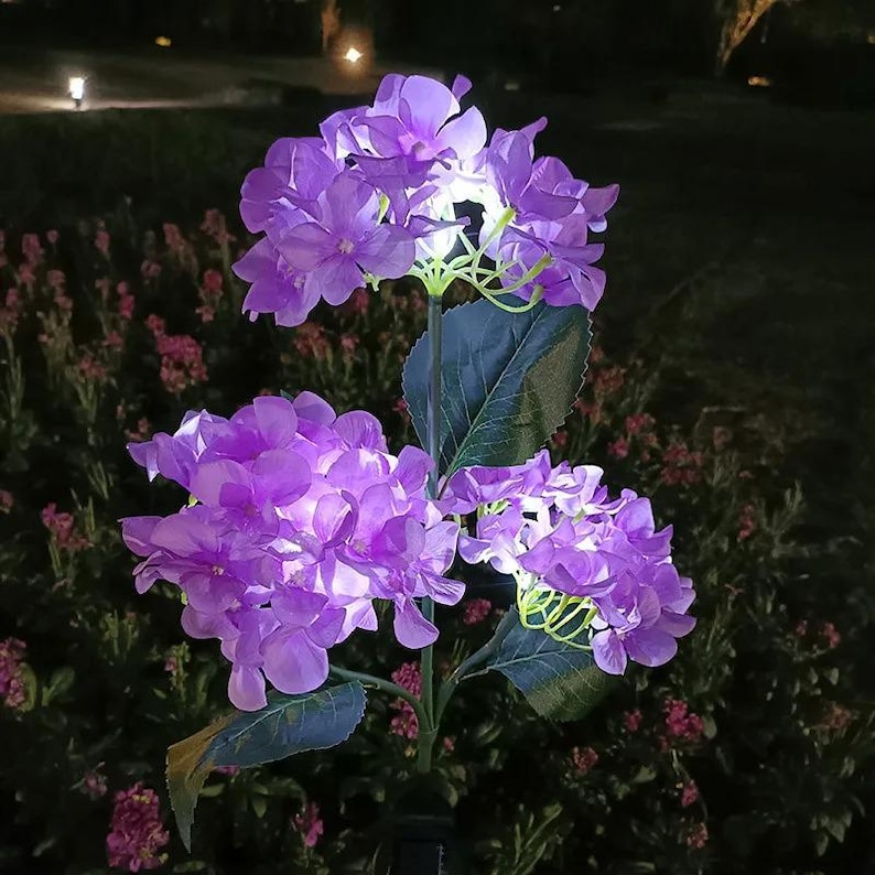 Solar Hydrangea Garden Lights – Waterproof Flower Stakes for Pathway ...