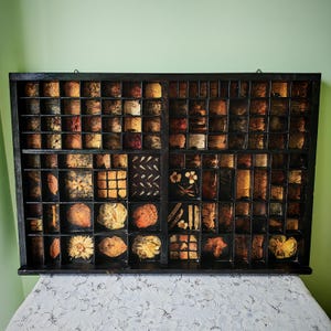 Op de afbeelding: Een zwarte houten letterbak met veel kleine vakjes, elk met een uniek gedroogd botanisch exemplaar, een geperst blad of een klein natuurlijk object in tinten bruin, oranje, geel en goud, gerangschikt in een rastervormige display.