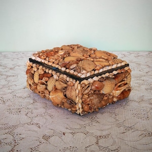 May include: A rectangular box completely covered in a dense mosaic of various natural seashells in shades of tan, beige, brown, and cream. The lid and sides feature a textured surface composed of numerous small and medium-sized spiral shells.