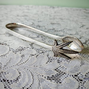 May include: Silver-toned sugar tongs with a decorative seashell design. The tongs have a spoon-like end and a detailed seashell accent. The tongs are resting on a white lace surface.