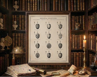 Dragon Scale Taxonomy Print, Victorian Dark Academia Wall Art, Cryptozoology Digital Download Poster