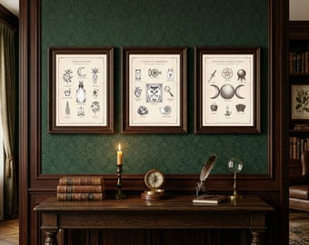 Peut inclure: Trois impressions murales encadrées présentant des illustrations en noir et blanc d'objets occultes et botaniques. L'impression de gauche est intitulée Potions & Elixirs, celle du centre Cabinet of Curiosities et celle de droite Divination & Ritual Tools.