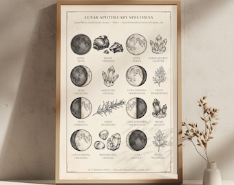 Victorian Moon Apothecary Specimen Print – Dark Academia Lunar Wall Art (Large Format PDF)