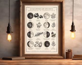 Victorian Moon Apothecary Print, Lunar Phases Dark Academia Wall Art, Digital Download Poster