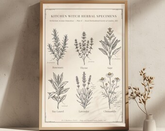 Kitchen Witch Herbs Print, Dark Academia Botanical Decor, Witchy Home Decor, Oversized Wall Art