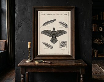 Victorian Raven Crow Feathers Print - Dark Academia Naturalist Decor, Gothic Home Decor, Oversized Wall Art