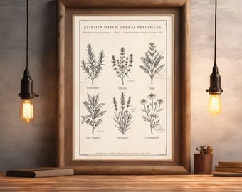 Kitchen Witch Herbs Print, Dark Academia Botanical Decor, Witchy Digital Download Poster