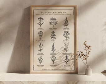 Hedge Witch Large Wall Art, Herbarium Victorian Print - Witchy Decorator, Witch Kitchen Decore, Digital Download Poster