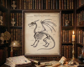 Victorian Dragon Skeletal Anatomy Print, Dark Academia Cryptozoology Wall Art, Oversized Wall Art PDF