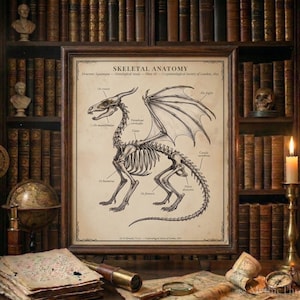 Op de afbeelding: Een ingelijste prent van een skeletanatomiekaart van een draak. Het kunstwerk is in vintage stijl, met een beige achtergrond en illustraties met zwarte inkt. De prent wordt getoond in een kamer met boekenkasten, een kaars en antieke voorwerpen.