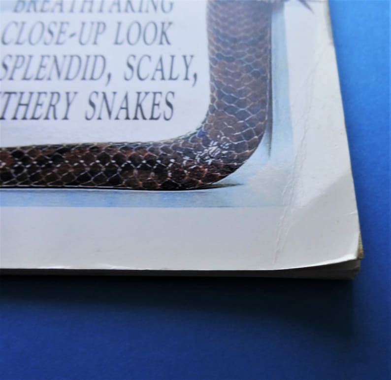 SNAKES PICTURE BOOK ' the Snake Book' Copyright 2000 Softcover With ...