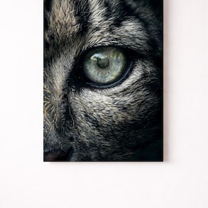 Può includere: Una stampa artistica da parete rettangolare che presenta un primo piano dettagliato del muso di un gatto. L'immagine mette in risalto il pelo testurizzato grigio scuro e nero dell'animale e un singolo occhio grande e penetrante con iride verde pallido e pupilla nera.