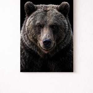 Grizzly Bear Frontal Portrait Poster | Moody Dark Wildlife Print | Black Background | Cinematic Animal Art | Rustic Cabin Wall Decor Gift