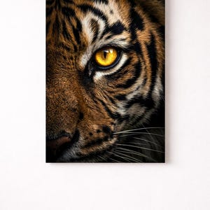 Póster macro de ojo de tigre | Primer plano de iris dorado | Arte de vida silvestre oscuro y melancólico | Impresión dramática de Bengala | Regalo de decoración de pared con fotografía de naturaleza