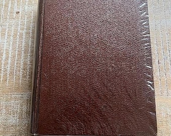 La Vieja Duquesa - Una novela de la época de la Guerra de los Treinta Años