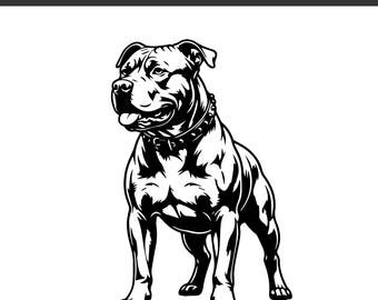 Pitbull SVG, archivo de corte de Pitbull, Pitbull DXF, Pitbull PNG, imágenes prediseñadas de Pitbull, silueta de Pitbull, archivo Cricut de Pitbull