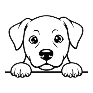 Può includere: Illustrazione in bianco e nero della faccia di un cucciolo, con grandi occhi e orecchie flosce. Le zampe del cucciolo poggiano su una linea orizzontale. Design semplice e pulito, perfetto per adesivi o decalcomanie.