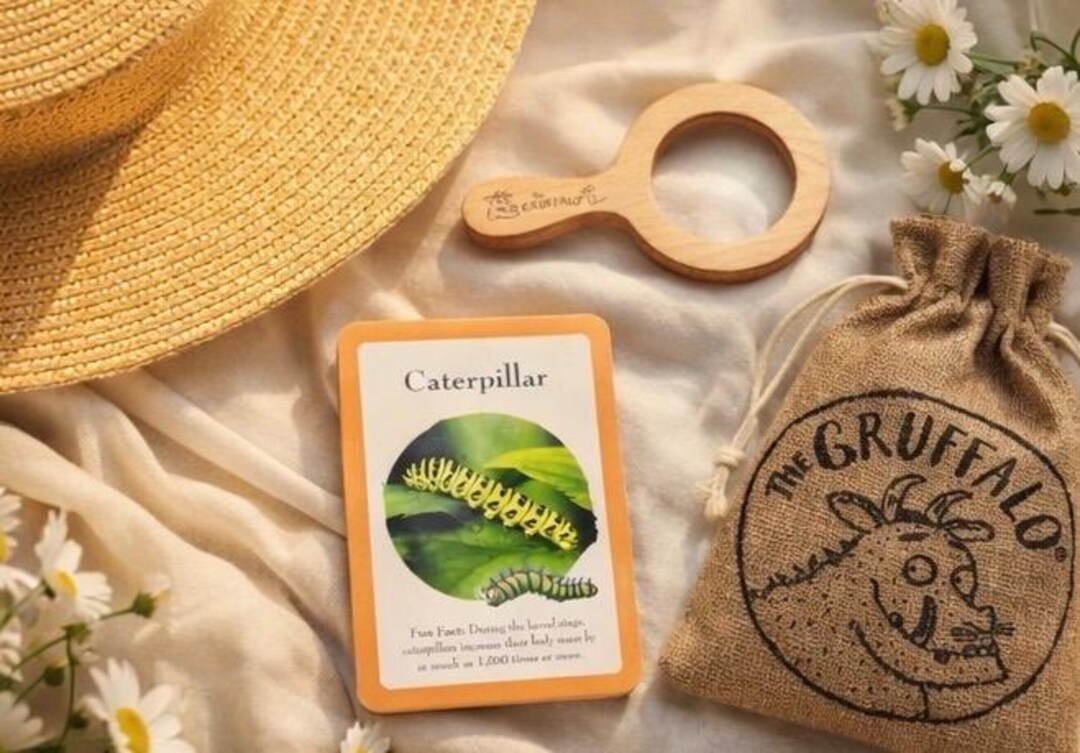 Gruffalo Adventure Bug Hunt Kit – Fun Nature Exploration for Toddlers ...