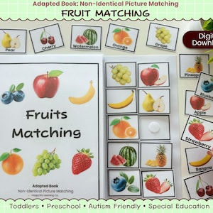 Attività di abbinamento di frutta (libro adattato) / Attività con immagini non identiche (download digitale)