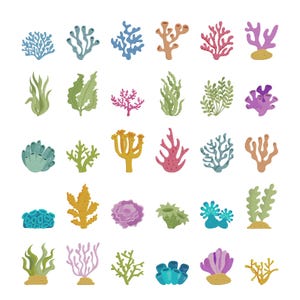 May include: A collection of thirty individual illustrations of various sea life, including diverse coral formations, seaweed, and aquatic plants in shades of blue, green, pink, yellow, and purple, arranged in a grid pattern on a white background.