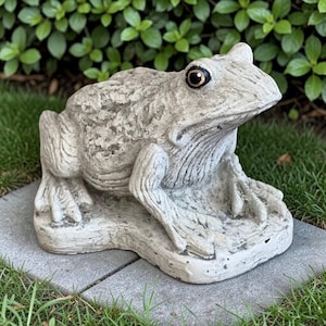 May include: A detailed, gray concrete frog statue with dark eyes and a textured surface. The frog is in a seated position on a stone base, suitable for garden or outdoor decor.