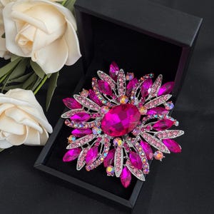 May include: A large, ornate brooch with a floral design. The brooch features a large, oval, magenta-colored center stone surrounded by smaller, pink and magenta crystals. The brooch is set in a silver-toned metal and is displayed in a black box.