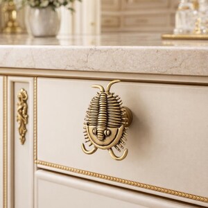 Trilobite Brass Cabinet Knob | Antique Insect Drawer Pull | Nature Inspired Decor