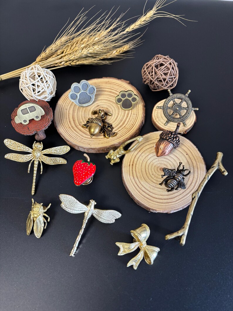 May include: A collection of decorative pins and brooches in various shapes, including dragonflies, a bow, a strawberry, and a ship's wheel. Some pins are set on small wooden slices. Colors include gold, silver, red, and brown.