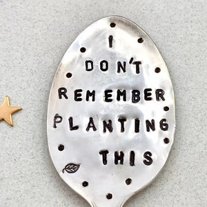 May include: A silver spoon with the text "I don't remember planting this" engraved on it. The spoon has a small leaf design on the bowl.