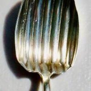 Antique Sterling Silver Serving Spoon: Thomas G. Brown & Sons, New York