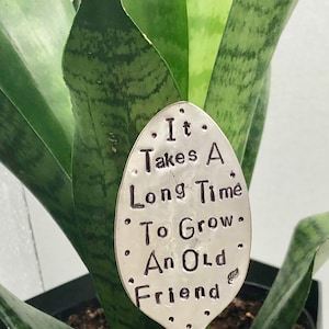 Garden Marker, It Takes A Long Time to Grow an OLD FRIEND, Stamped Large Spoon, Gift for girlfriend, Stick in plants herbs or flowers image 5