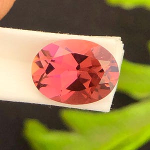 Könnte beinhalten: Ein oval geschliffener Edelstein mit einem leuchtenden rötlich-pinken Farbton und zahlreichen Facetten, die das Licht reflektieren. Der Stein ist auf einem weißen Papierstreifen platziert und zeigt seine Transparenz und Symmetrie.